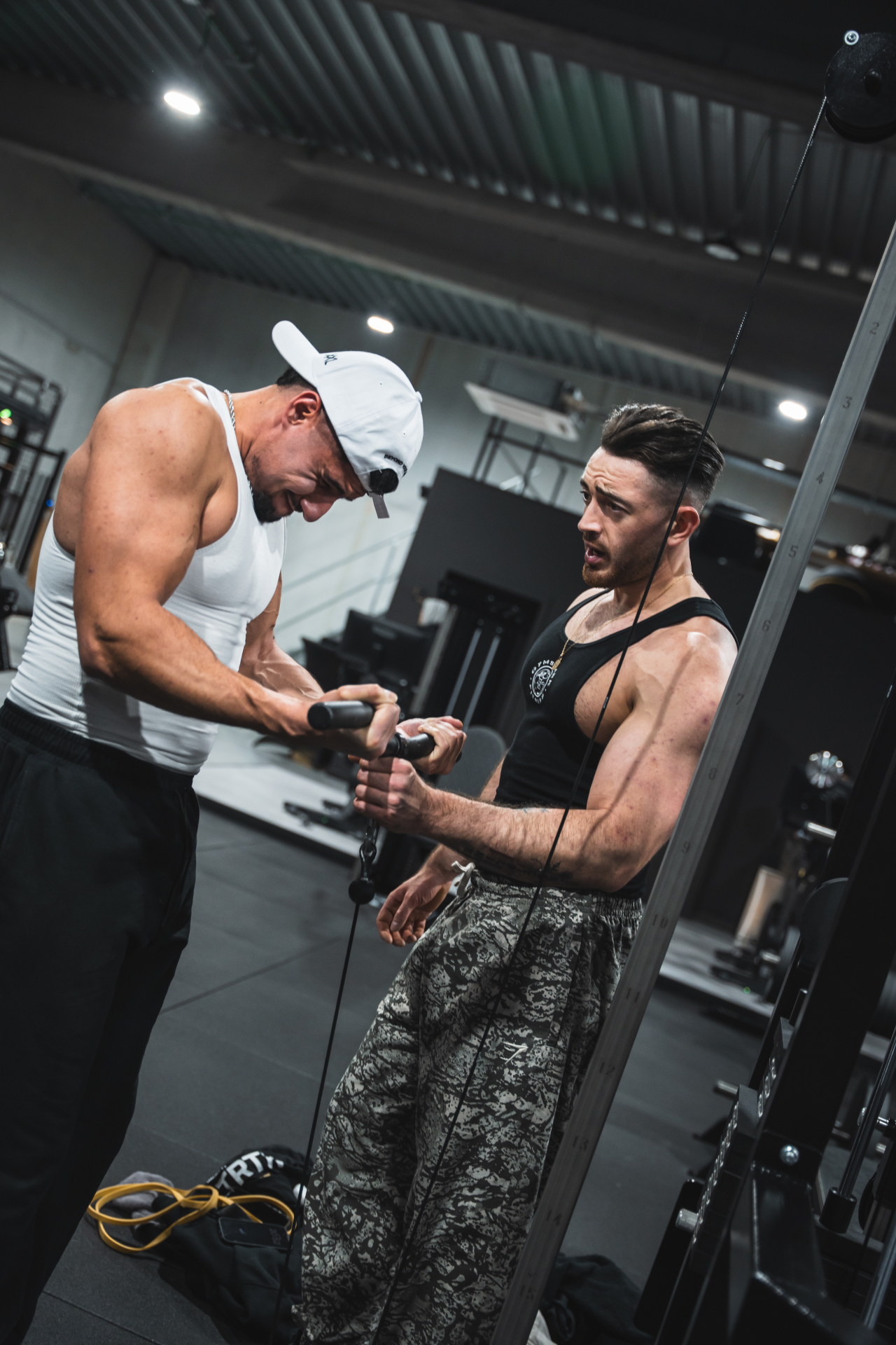 @fitdyn